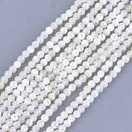 Natural White Shell Beads, Mother of Pearl Shell Beads Strands, Round, Ivory, 3mm, Hole: 0.8mm, about 121pcs/strand, 14.9 inch(SHEL-T012-49B)