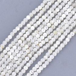 Natural White Shell Beads, Mother of Pearl Shell Beads Strands, Round, Ivory, 3mm, Hole: 0.8mm, about 121pcs/strand, 14.9 inch(SHEL-T012-49B)