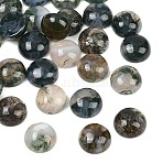 Natural Moss Agate Cabochons, Half Round, 10~10.5x4.5~5mm(G-D367-01A-01)