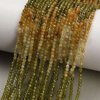 Gradient Color Natural Yellow Green Tourmaline Beads Strands, Faceted, Round, 3mm, Hole: 0.5mm, about 188~189pcs/strand, 15.35~15.55''(39~39.5cm)