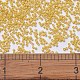 MIYUKI Delica Beads(SEED-JP0008-DB2102)-4