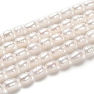 Natural Cultured Freshwater Pearl Beads Strands, Rice, Bisque, 6~9x4~5mm, Hole: 0.5mm, about 45pcs/strand, 14.37 inch(36.5cm)(PEAR-L033-62-01)