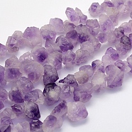 Natural Amethyst Beads Strands, Nuggets, 13~23x10~21x3~18mm, Hole: 1.2mm, about 15.7 inch(40cm)(G-G697-D06)