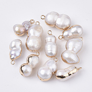 Natural Cultured Freshwater Pearl Pendants, with Half Hole and Brass Loop, Edge Plated, Calabash, Golden, Seashell Color, 19.5~26x9~14.5x8~12mm, Hole: 1.8mm, Half Hole: 0.9mm(BSHE-N008-01B)