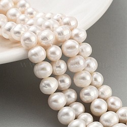 Natural Cultured Freshwater Pearl Beads Strands, Potato, PapayaWhip, 7~8mm, Hole: 0.6mm, about 26pcs/strand, 6.69 inch(17cm)(PEAR-C003-18D)