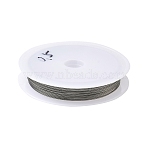 Nylon-coated Stainless Steel, Tiger Tail Wire, Round, for DIY Beading Jewelry Making, Stainless Steel Color, 0.5mm, 24 Gauge, about 39.37 Feet(12m)/pc(TWIR-H003-01D-P)