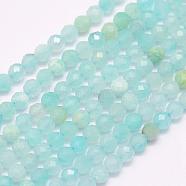 Natural Amazonite Beads Strands, Grade A, Faceted, Round, 2mm, Hole: 0.5mm, about 223pcs/strand, 15.7 inch(40cm)(G-F509-25-2mm)