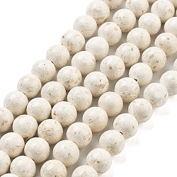 Natural Fossil Beads Strands, Round, Floral White, 12mm, about 33pcs/strand(G-H026-02D)