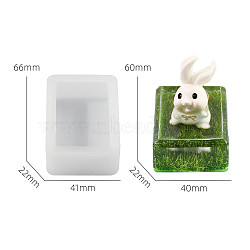 DIY Silicone Display Molds, Resin Casting Molds, Clay Craft Mold Tools, White, Rectangle, 67x46x22mm(SIMO-P008-21A)