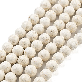 Natural Fossil Beads Strands, Round, Floral White, 12mm, about 33pcs/strand