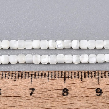 Natural Trochid Shell/Trochus Shell Beads Strands(BSHE-T014-52A-01)-4