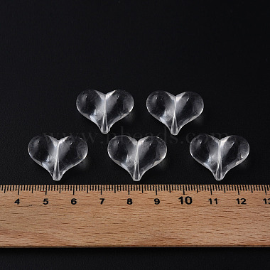 abalor&iacute;os de acr&iacute;lico transparente(X1-MACR-S373-70-B01)-6