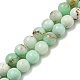 Natural Green Opal Beads Strands(G-R494-A08-03)-1