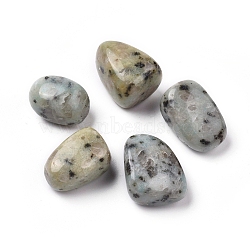 Natural Sesame Jasper/Kiwi Jasper Beads, Healing Stones, for Energy Balancing Meditation Therapy, Tumbled Stone, Vase Filler Gems, No Hole/Undrilled, Nuggets, 20~35x13~23x8~22mm(G-K302-A01)