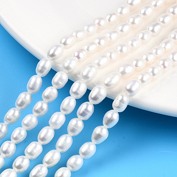 Natural Cultured Freshwater Pearl Beads Strands, Rice, Seashell Color, 6~7x5mm, Hole: 0.7mm, about 52~54pcs/strand, 13.86 inch~14.37 inch(35.2~36.5cm)