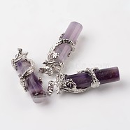 Tube Natural Amethyst Pendants, with Dragon Brass Findings, Platinum, 48x15x10mm, Hole: 7x5mm(G-L455-H18)