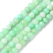 Natural Chrysoprase Beads Strands, Faceted, Round, 4mm, Hole: 0.8~1mm, about 103~105pcs/strand, 15.35~15.55 inch(39~39.5cm)(G-F748-X01-03A)