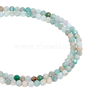 2 Strands Natural Flower Amazonite Beads Strands, Faceted, Round, 3~3.5mm, Hole: 0.3mm, about 143pcs/strand, 14.9 inch(G-NB0004-59)