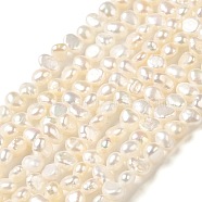 Natural Cultured Freshwater Pearl Beads Strands, Two Sides Polished, Grade 6A, PapayaWhip, 3.5~4x4~5x2.5~3mm, Hole: 0.5mm, about 91pcs/strand, 14.17~14.33 inch(36~36.4cm)(PEAR-E017-26)