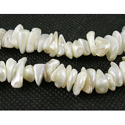 Natural Shell Beads Strands, Pearlized, Chip, White, about 8~14mm long, hole: about 0.5~0.6mm, about 244pcs/strand, 35 inch(X-SHZ001)