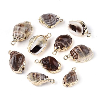 Electroplate Natural Sea Shell Pendants, Shell Shape Charms, with Iron Loops and Brass Findings, Golden, Coffee, 17.5~24x11~13.5x8.5~12mm, Hole: 1.6~1.8mm
