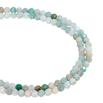 2 Strands Natural Flower Amazonite Beads Strands, Faceted, Round, 3~3.5mm, Hole: 0.3mm, about 143pcs/strand, 14.9 inch