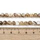 Natural Freshwater Shell Beads Strands(SHEL-K006-71A)-4