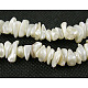 Natural Shell Beads Strands(X-SHZ001)-1