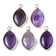 Natural Amethyst Pendants, with Golden Plated Brass Edge and Loop, Horse Eye, 25x14x5.5mm, Hole: 2.5mm(G-S359-318B)
