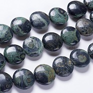 Natural Kambaba Jasper Beads Strands, Flat Round, 20x7~8mm, Hole: 1mm, about 20pcs/strand, 15.7 inch(G-K267-03A)
