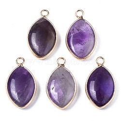 Natural Amethyst Pendants, with Golden Plated Brass Edge and Loop, Horse Eye, 25x14x5.5mm, Hole: 2.5mm(G-S359-318B)