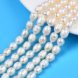 Natural Cultured Freshwater Pearl Beads Strands, Rice, Seashell Color, 8.5~13x7~8mm, Hole: 0.8mm, about 16~19pcs/strand, 7.05 inch~7.40 inch(17.9cm~18.8cm)(PEAR-N012-07B)