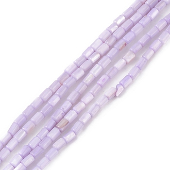 Natural Freshwater Shell Dyed Beads Strands, Column, Lilac, 4.8x3mm, Hole: 0.8mm, about 78pcs/strand, 14.96''(38cm)