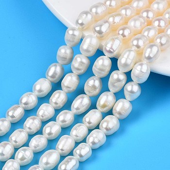 Natural Cultured Freshwater Pearl Beads Strands, Rice, Seashell Color, 8.5~13x7~8mm, Hole: 0.8mm, about 16~19pcs/strand, 7.05 inch~7.40 inch(17.9cm~18.8cm)