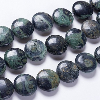 Natural Kambaba Jasper Beads Strands, Flat Round, 20x7~8mm, Hole: 1mm, about 20pcs/strand, 15.7 inch