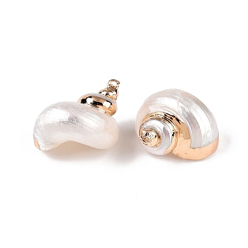 Natural Sea Shell Pendants, Shell Shaped Charms with Golden Tone Iron Loops, White, 29~36x23~31x19~27mm, Hole: 1~1.8mm