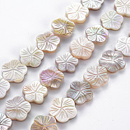 Electroplated Natural Freshwater Shell Beads Strands, Flower, Seashell Color, 11~14x11.5~14x2~3.5mm, Hole: 0.6mm, about 30pcs/strand, 14.37 inch~14.76 inch(36.5~37.5cm)(X-SHEL-N026-164)
