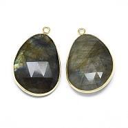 Natural Labradorite Pendants, with Brass Findings, Faceted, Golden, 32x21x7mm, Hole: 2mm(G-E526-04A)