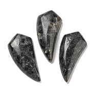Natural Labradorite Pendants, Horn Charms, 39~40x18~18.5x6.5~8mm, Hole: 1.2mm(G-M417-04B)