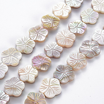 Electroplated Natural Freshwater Shell Beads Strands, Flower, Seashell Color, 11~14x11.5~14x2~3.5mm, Hole: 0.6mm, about 30pcs/strand, 14.37 inch~14.76 inch(36.5~37.5cm)