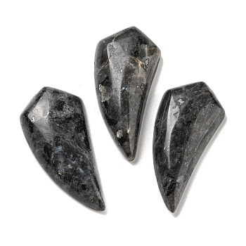 Natural Labradorite Pendants, Horn Charms, 39~40x18~18.5x6.5~8mm, Hole: 1.2mm