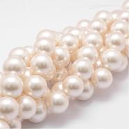 Shell Pearl Bead Strands, Grade A, Round, Floral White, 16mm, Hole: 1mm, about 26pcs/strand, 16 inch(BSHE-L026-03-16mm)