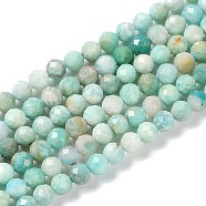 Natural Amazonite Beads Strands, Faceted, Round, 4~4.5mm, Hole: 0.7mm, about 88~107pcs/strand, 14.80~15.59''(37.6~39.6cm)(G-G139-A15-03)