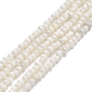 Natural Cultured Freshwater Pearl Beads Strands, Potato, Beige, 1.5~2x1.5~2x1.5~2mm, Hole: 0.5mm, about 155~158pcs/strand, 14.13~14.25 inch(35.9~36.2cm)