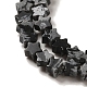 Natural Snowflake Obsidian Beads Strands(G-G085-B37-01)-3