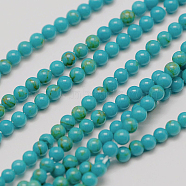 Imported Synthetic Turquoise Bead Strands, Round, 3mm, Hole: 0.5mm, about 126pcs/strand, 16 inch(X-G-A130-3mm-L05-1)