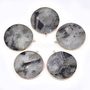 Natural Labradorite Big Pendants, with Brass Findings, Flat Round, Golden, 54~56x50~52x3mm, Hole: 2mm(G-T112-01B)
