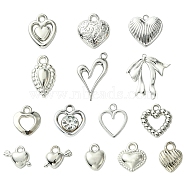 30Pcs 15 Styles Acrylic & Plastic Pendants Sets, Platinum, 10~31.5x7.5~30.5x1.3~7.5mm, Hole: 1.5~2.2mm, 2pcs/style(FIND-YW0004-63)