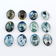 Wolf Pattern Glass Oval Flatback Cabochons for DIY Projects, Mixed Color, 25x18x5mm(GGLA-R022-25x18-51)