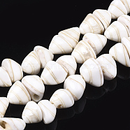Spiral Shell Beads Strands, Cone, 9~11x11~14x9~12mm, Hole: 1mm, about 41pcs/strand, 14.3 inch(SHEL-T011-05)